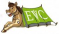 Equine Vet Camp